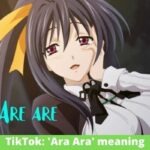 TikTok: 'Ara Ara' meaning