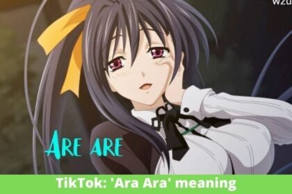 TikTok: 'Ara Ara' meaning