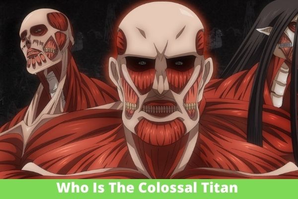 Who Is The Colossal Titan In Attack On Titan?