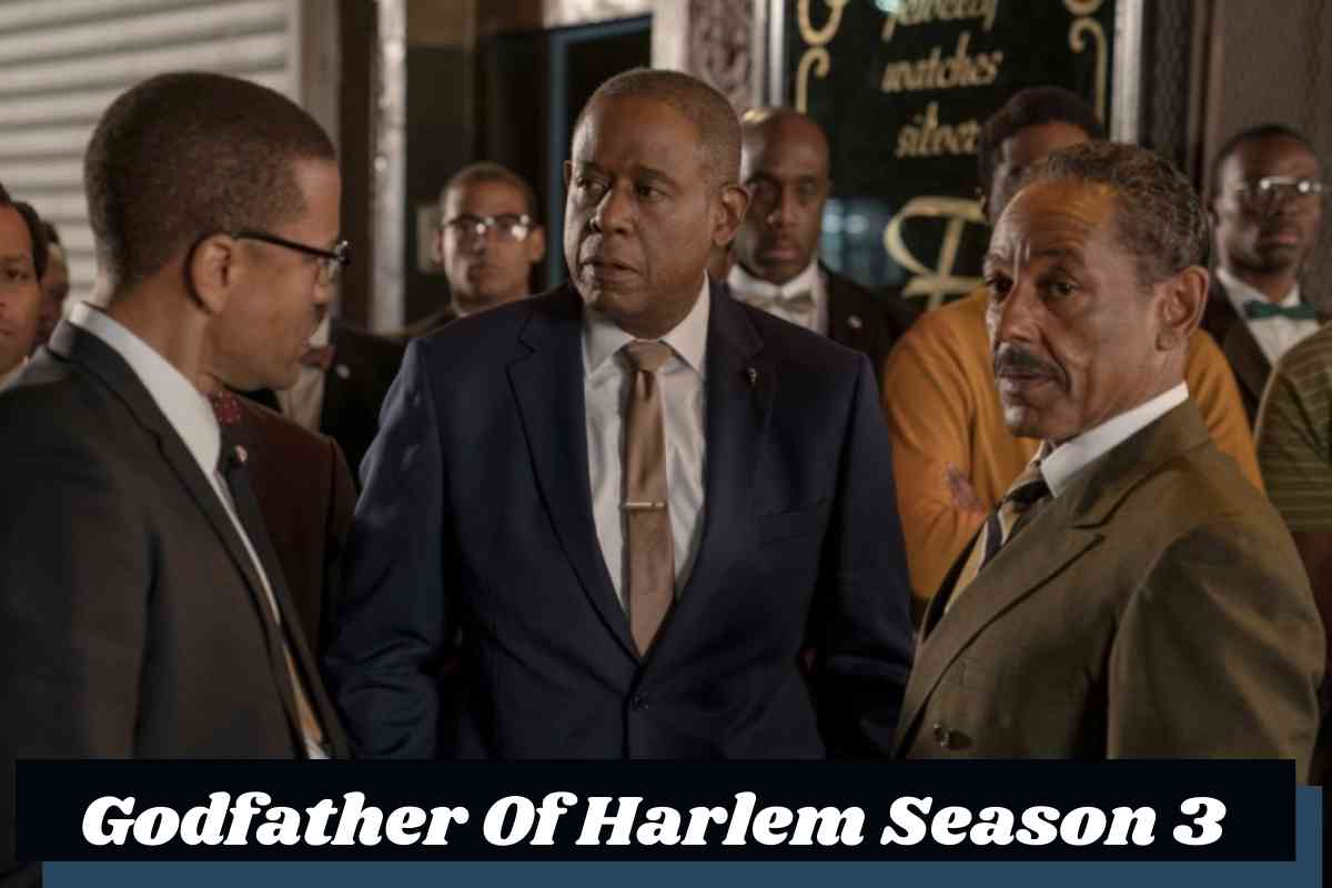 Godfather Of Harlem Season 3