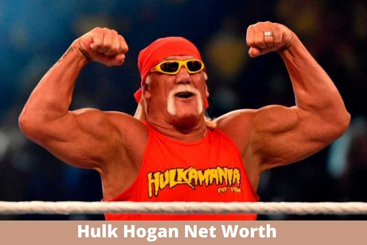 hulk hogan net worth