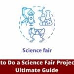 How to Do a Science Fair Project An Ultimate Guide