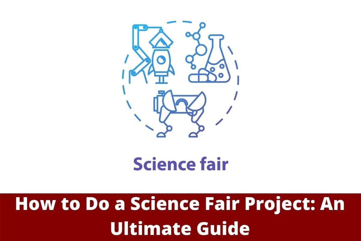 How to Do a Science Fair Project: An Ultimate Guide