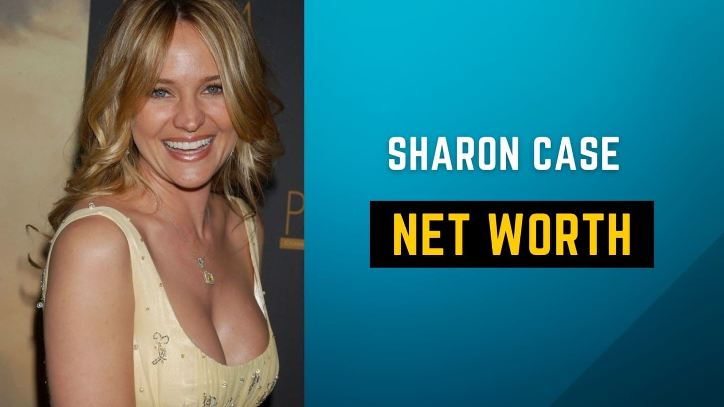 Sharon Case Net Worth