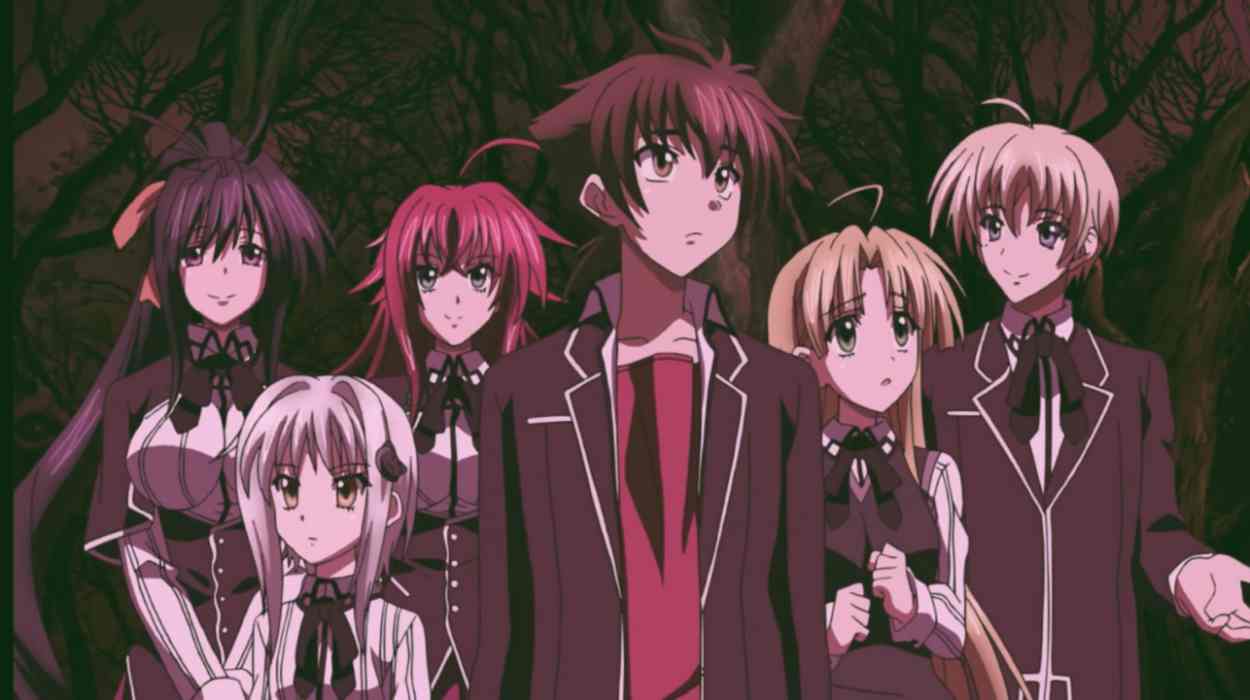 The Season 5 Cast of High School DxD