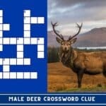 Male Deer Crossword Clue