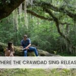 Where the Crawdads Sing movie release date