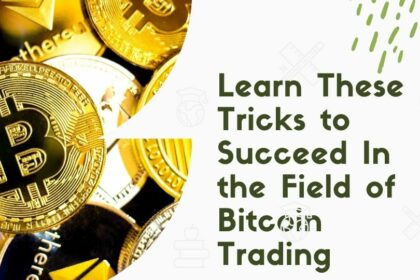 Learn These Tricks to Succeed In the Field of Bitcoin Trading