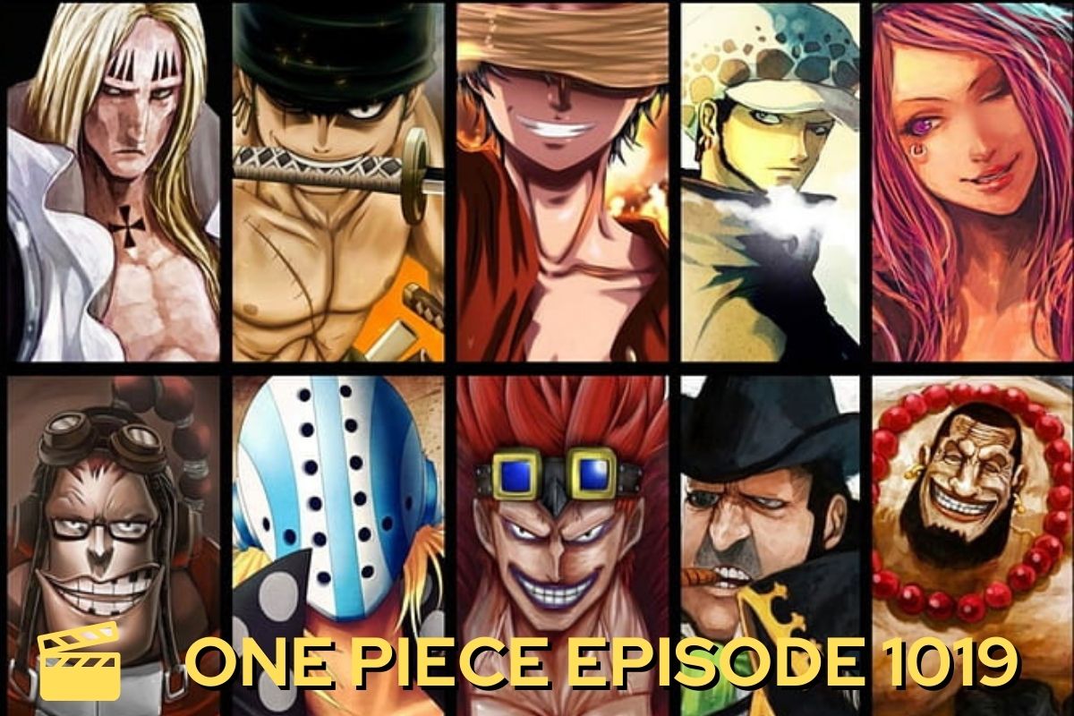 One Piece Episode 1019