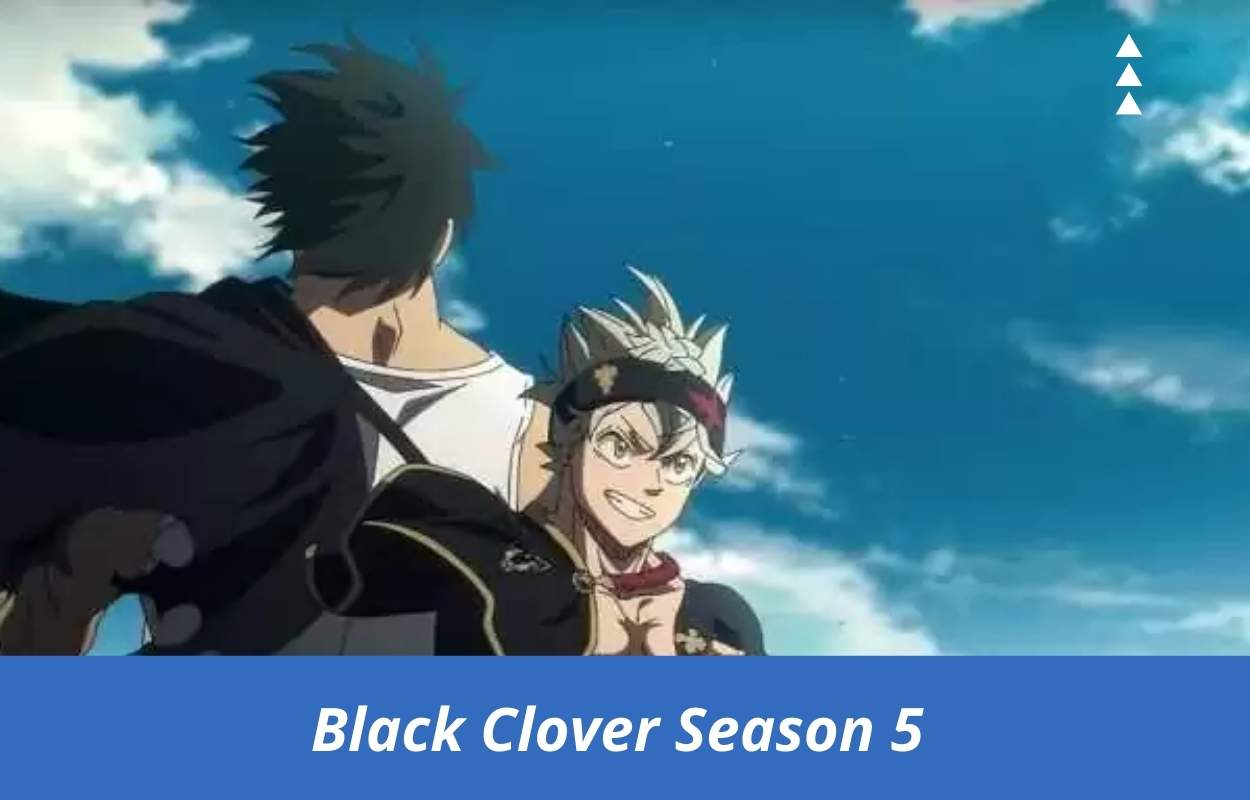 Black Clover Season 5 Expected Release Date Status, Plot, Cast, Trailer ...