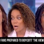 Fans Prepared To Boycott 'the View'