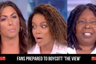 Fans Prepared To Boycott 'the View'