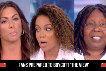 Fans Prepared To Boycott 'the View'