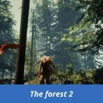 The forest 2