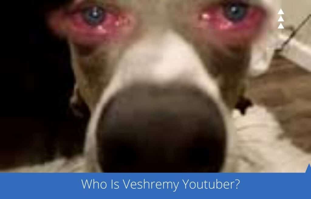 Who Is Veshremy Youtuber? And Has He Revealed His Face?