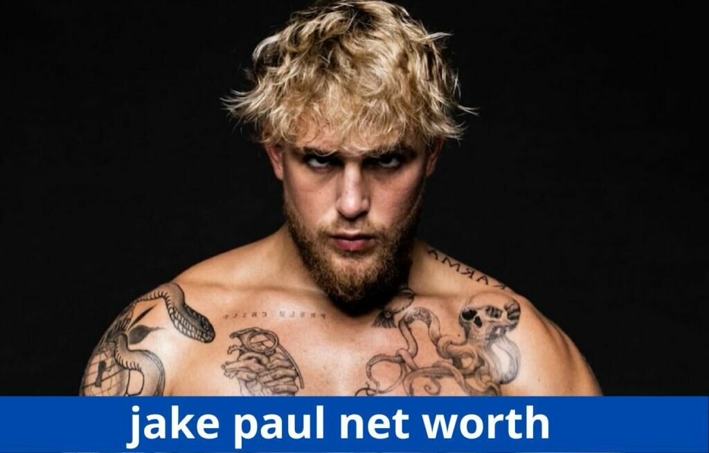 jake paul net worth