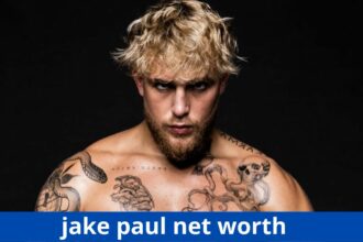 jake paul net worth