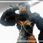 megan thee stallion net worth