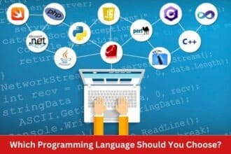 Which Programming Language Should You Choose