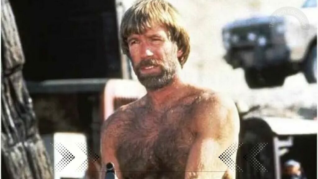 chuck norris net worth