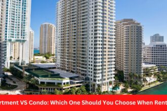 Apartment VS Condo Which One Should You Choose When Renting