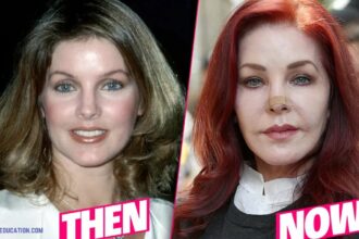 priscilla presley before and after