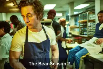 The Bear Season 2