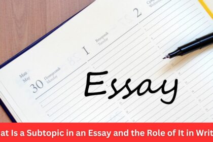 What Is a Subtopic in an Essay and the Role of It in Writing