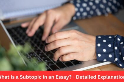 What Is a Subtopic in an Essay Detailed Explanation