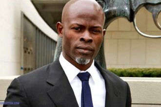 djimon hounsou net worth