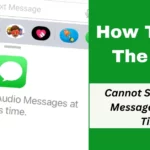 Cannot Send Audio Messages At This Time