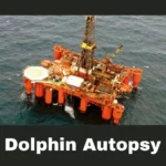 Byford Dolphin Autopsy Report