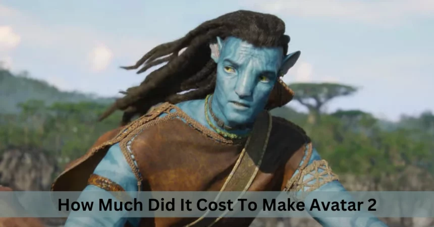How Much Did It Cost To Make Avatar 2
