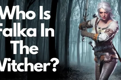 Who Is Falka In The Witcher