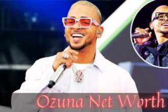 Ozuna Net Worth