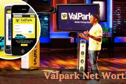 Valpark Net Worth