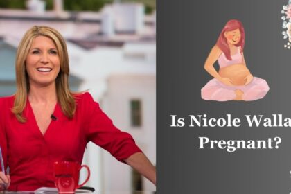 Is Nicole Wallace Pregnant?