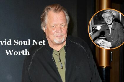 David Soul Net Worth