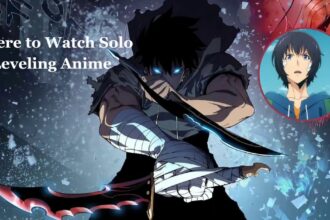 Where to Watch Solo Leveling Anime