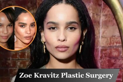 Zoe Kravitz Plastic Surgery