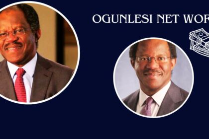 Ogunlesi Net Worth