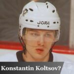 Who Was Konstantin Koltsov?