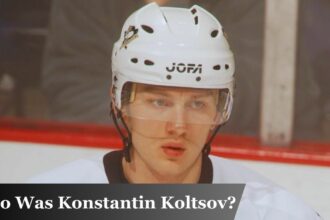 Who Was Konstantin Koltsov?